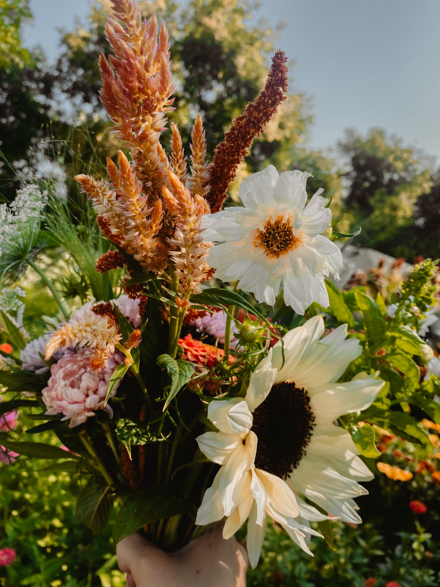 Summer Harvest Bouquet Subscription