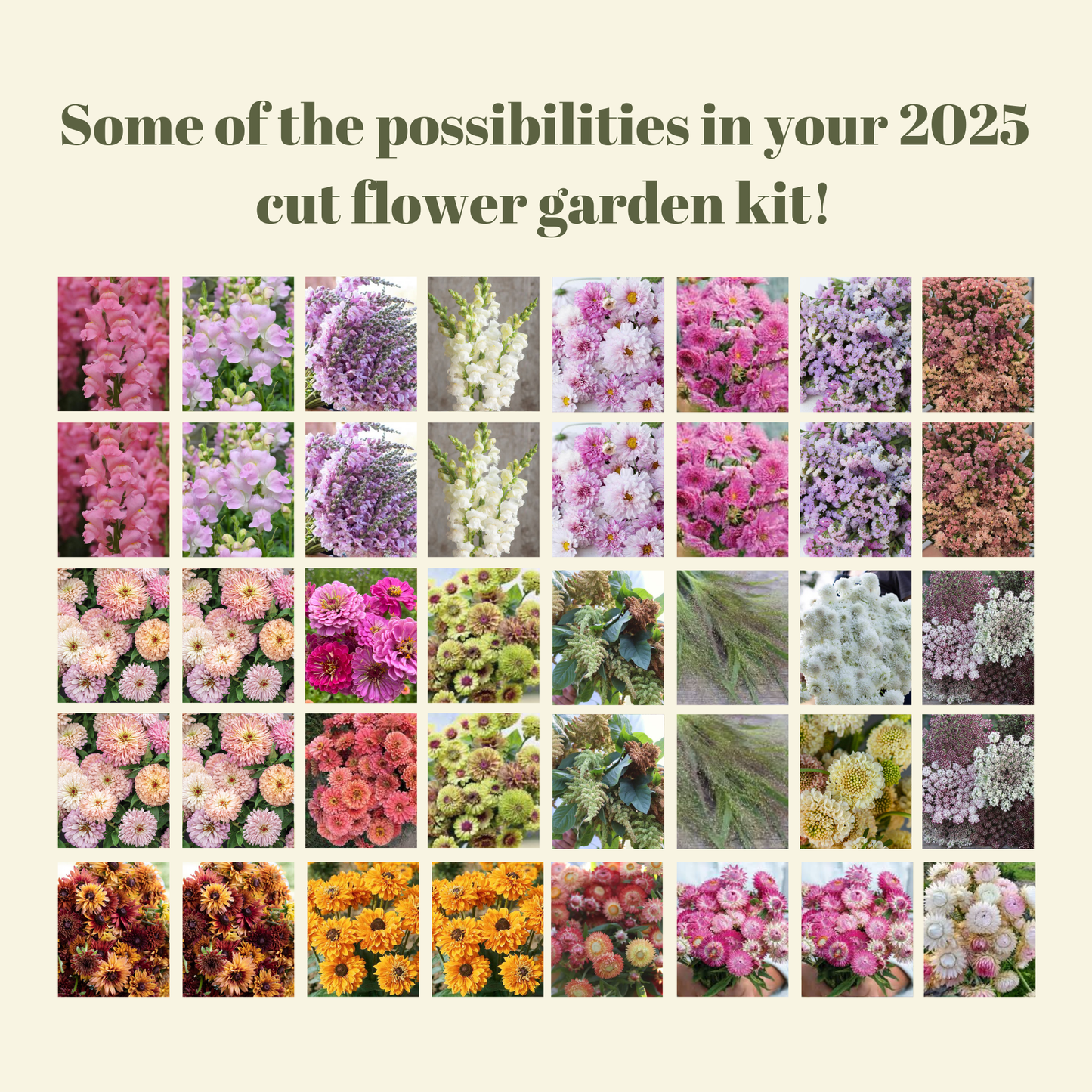High Summer Cut Flower Garden Kit